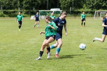 Bild 149 - F VfL Pinneberg - GW Eimsbuettel4 : Ergebnis: 9:0